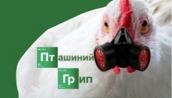 A chicken wearing a gas mask

Description automatically generated with medium confidence